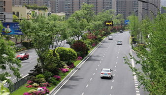 特色蘊于細(xì)節(jié)，匠心鑄就精品——論綠化工程的卓越之道